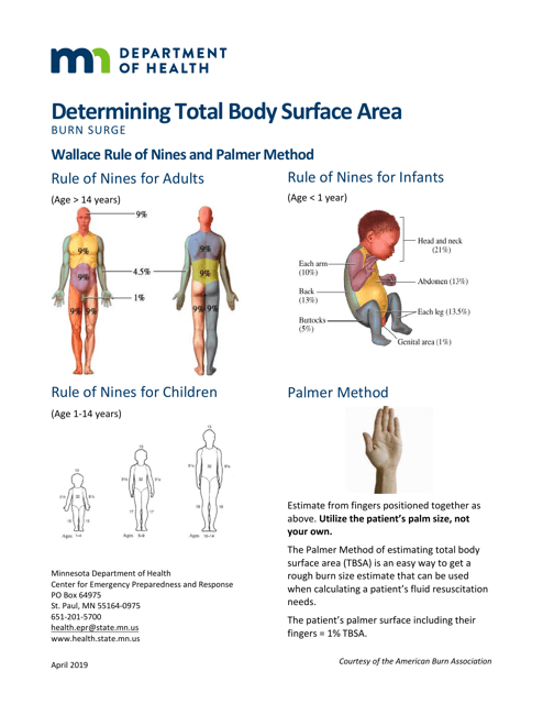 Body Surface Area Chart - Determining Total Body Surface Area - Minnesota Download Pdf