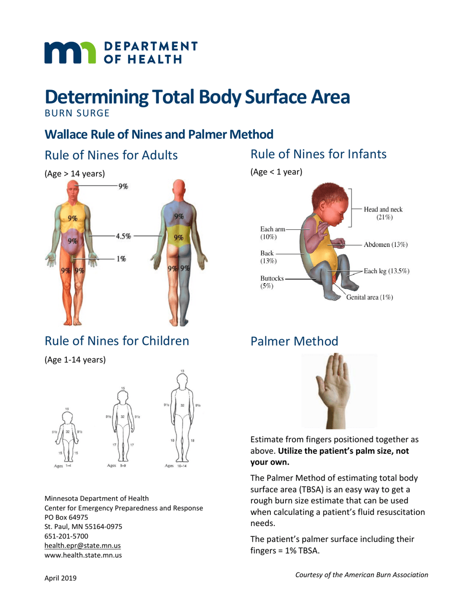Body Surface Area Chart - Determining Total Body Surface Area - Minnesota, Page 1