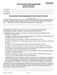 Document preview: Form NHJB-2217-F Delinquency Acknowledgment and Waiver of Rights - New Hampshire