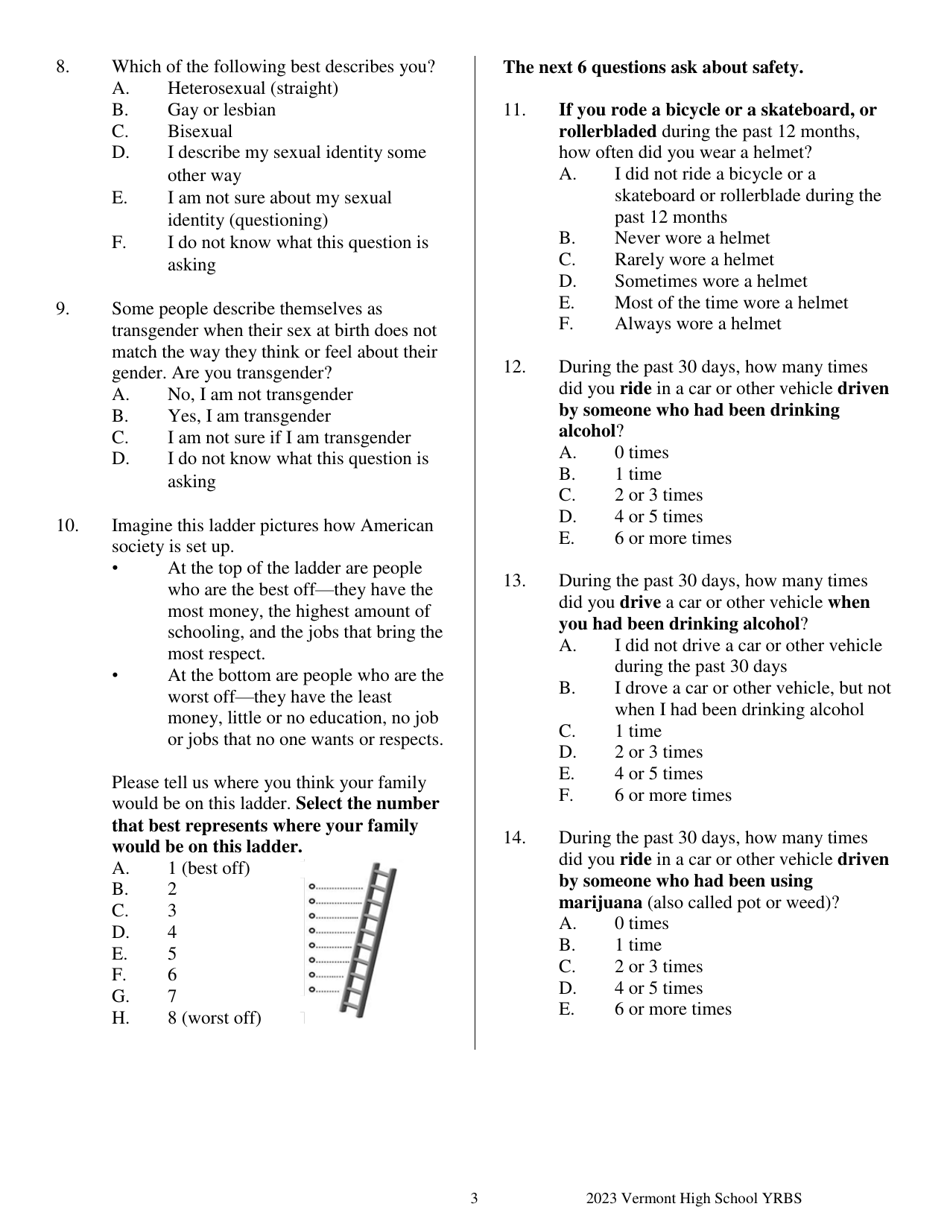 Vermont High School Youth Risk Behavior Survey - Vermont, Page 3