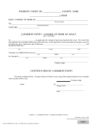 Document preview: Form 21.1 (SCO-CLC-PBT0021.1) Judgment Entry - Change of Name of Adult - Ohio