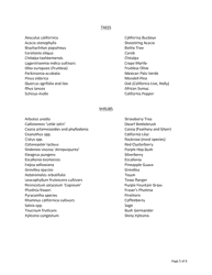 Requirements for Subdivision Tract and Commercial Slopes - City of Murrieta, California, Page 6