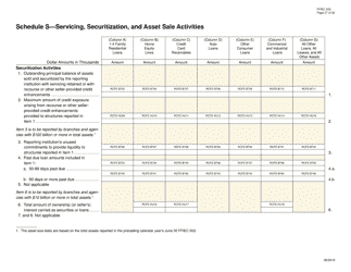 Form FFIEC002 Report of Assets and Liabilities of U.S. Branches and Agencies of Foreign Banks, Page 27