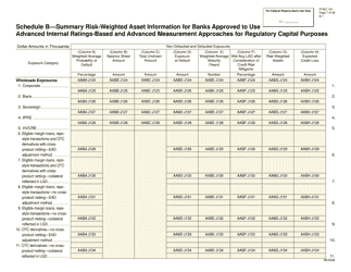Form FFIEC101 Regulatory Capital Reporting for Institutions Subject to the Advanced Capital Adequacy Framework, Page 7