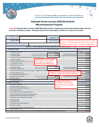 Tool C-4: Annotated Microenterprise Agi Worksheet - California