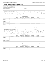 Form GEN1031 Annual County Training Plan - California, Page 5