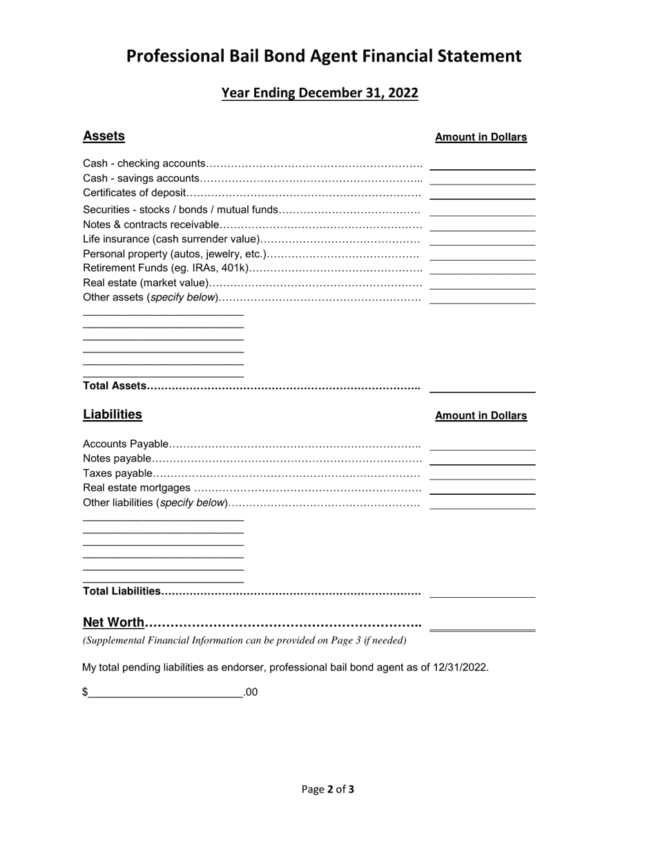 Professional Bail Bond Agent Financial Statement - Mississippi, Page 2