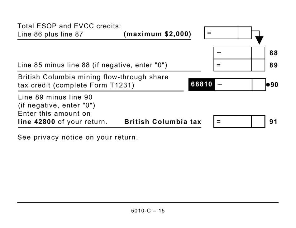 Form BC428 (5010-C) British Columbia Tax - Large Print - Canada, Page 15