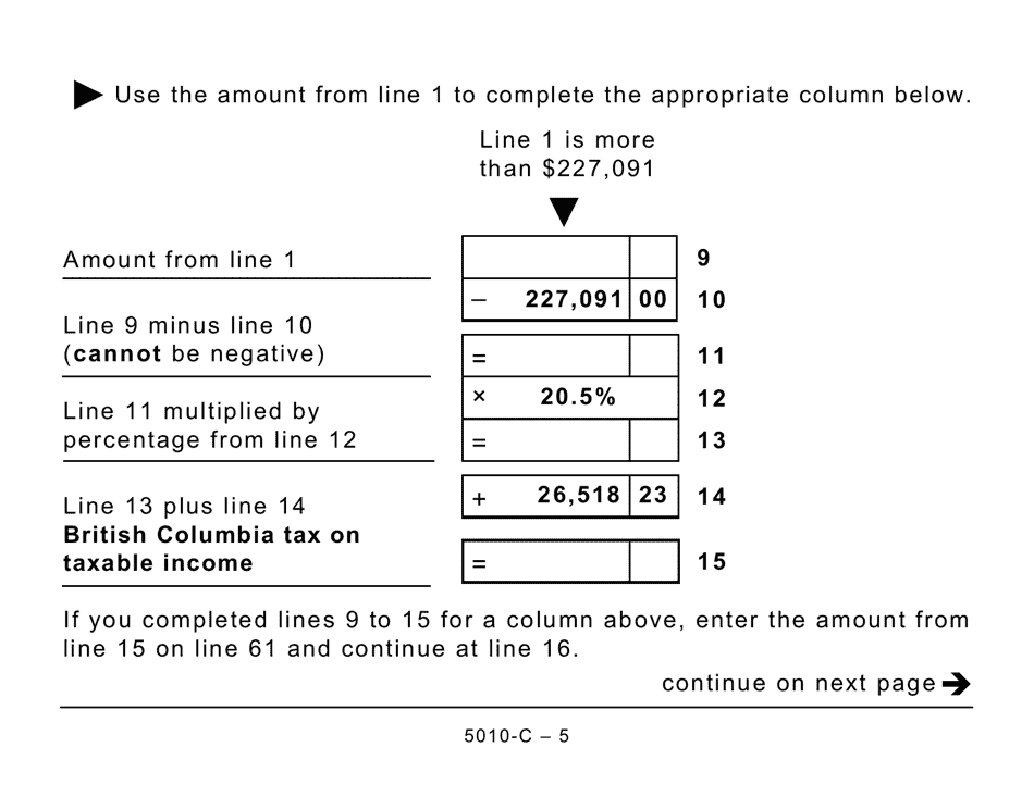 Form BC428 (5010-C) British Columbia Tax - Large Print - Canada, Page 5