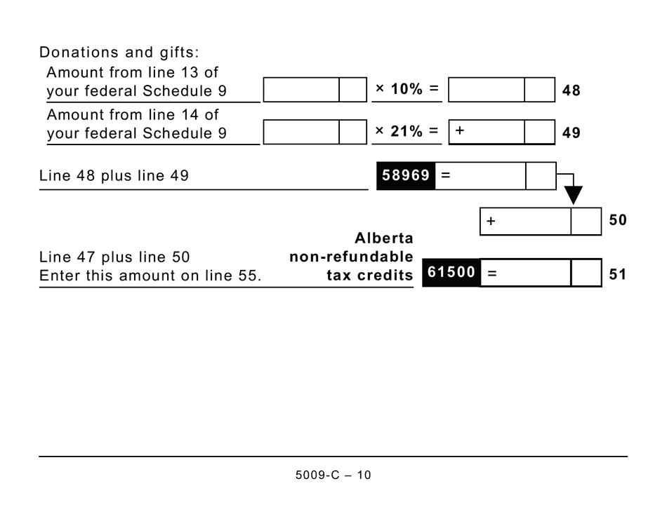 Form AB428 (5009-C) Alberta Tax and Credits - Large Print - Canada, Page 10