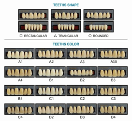 Document preview: Teeth Shape and Teeth Color Chart