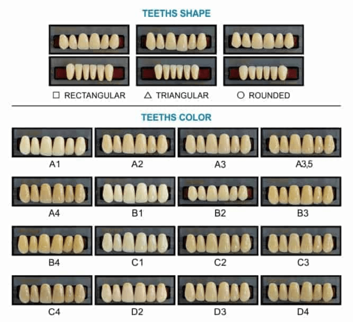 Teeth Shape and Teeth Color Chart