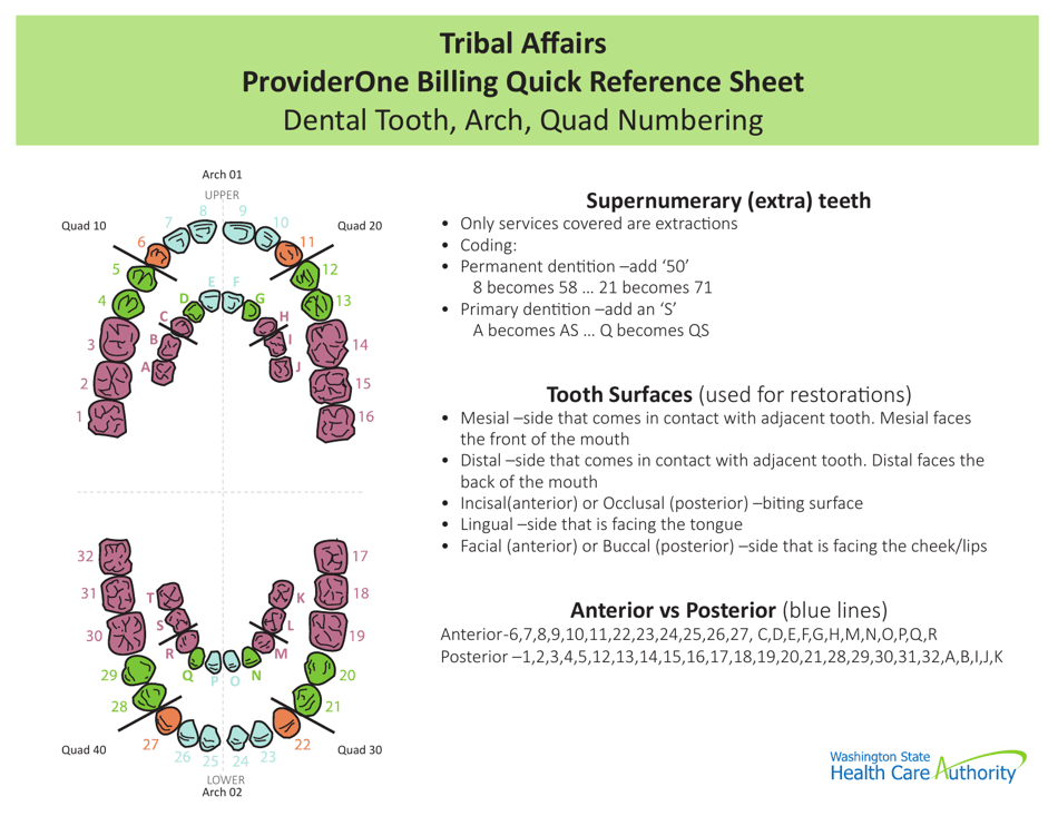 Washington Providerone Billing Quick Reference Sheet - Dental Tooth ...