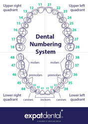 Document preview: Dental Numbering System