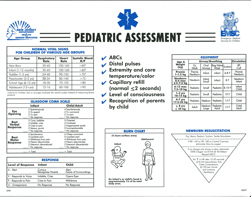 Pediatric Assessment Sheet Download Printable Pdf Templateroller 2999