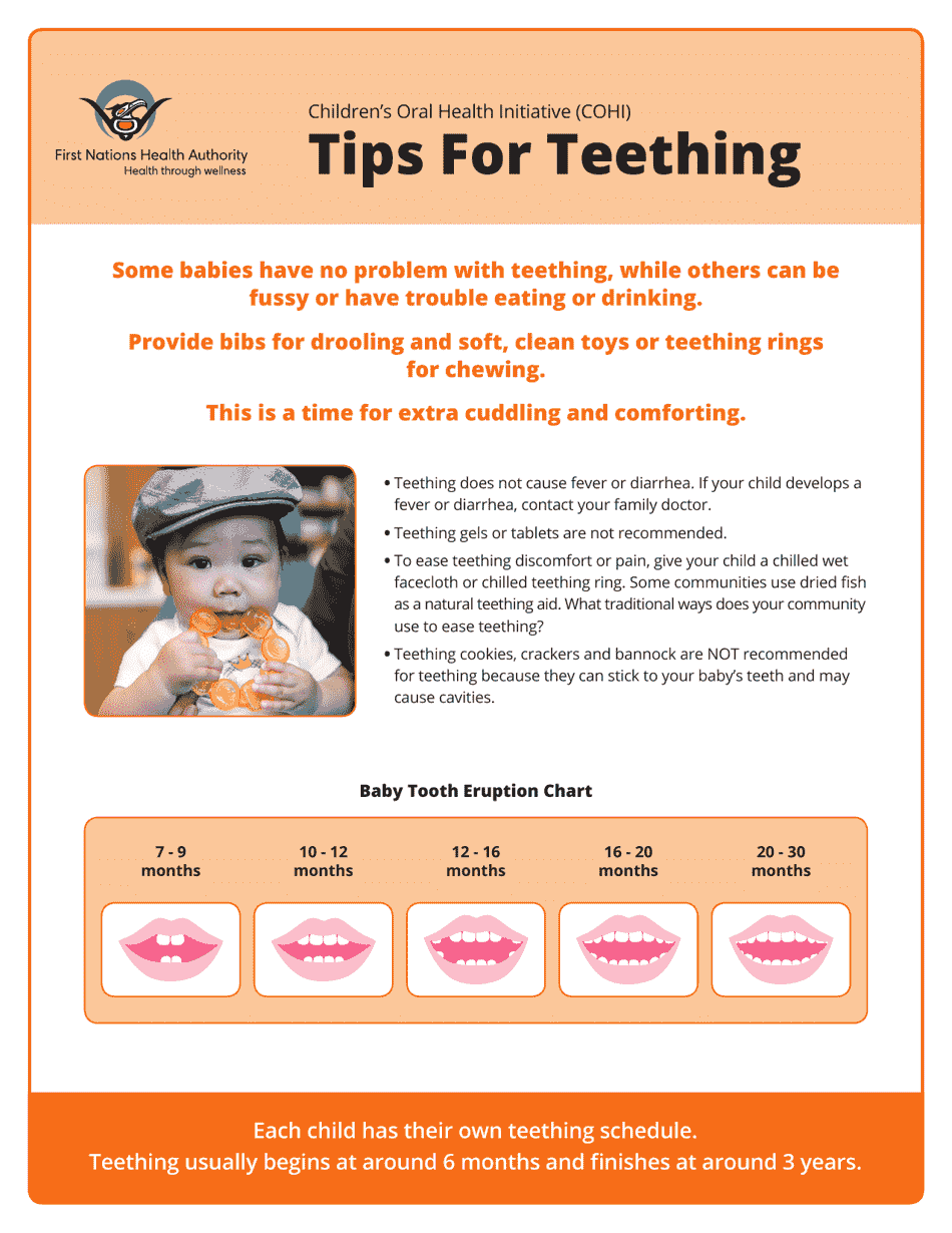 Baby Tooth Eruption Chart - Helpful Visual Guide for Parents and Caregivers