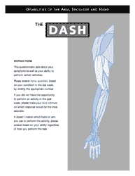 Disabilities of the Arm, Shoulder and Hand (Dash) Assessment Tool - Iwh &amp; Aaos &amp; Comss, Page 3