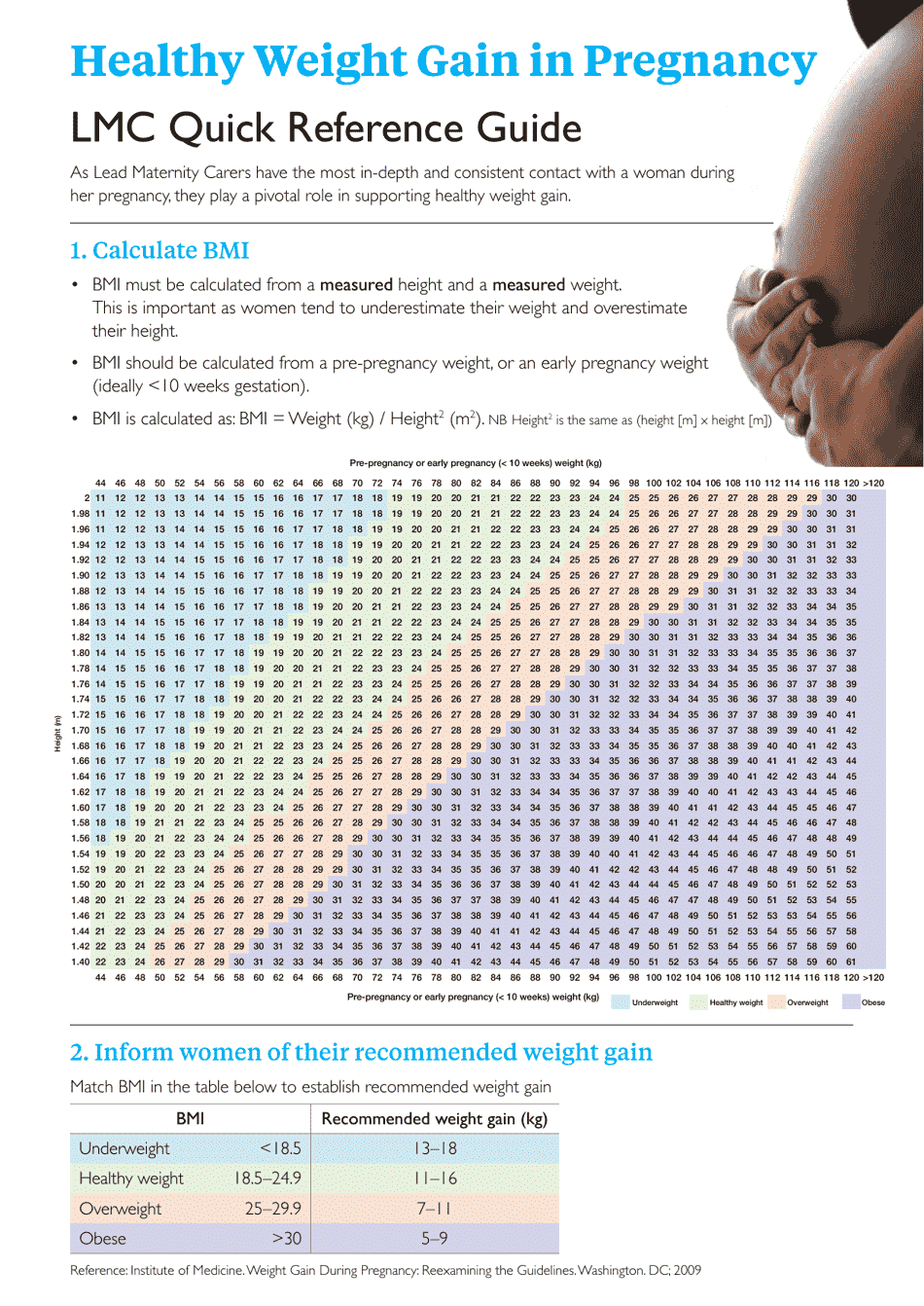 pregnancy-bmi-chart-download-printable-pdf-templateroller