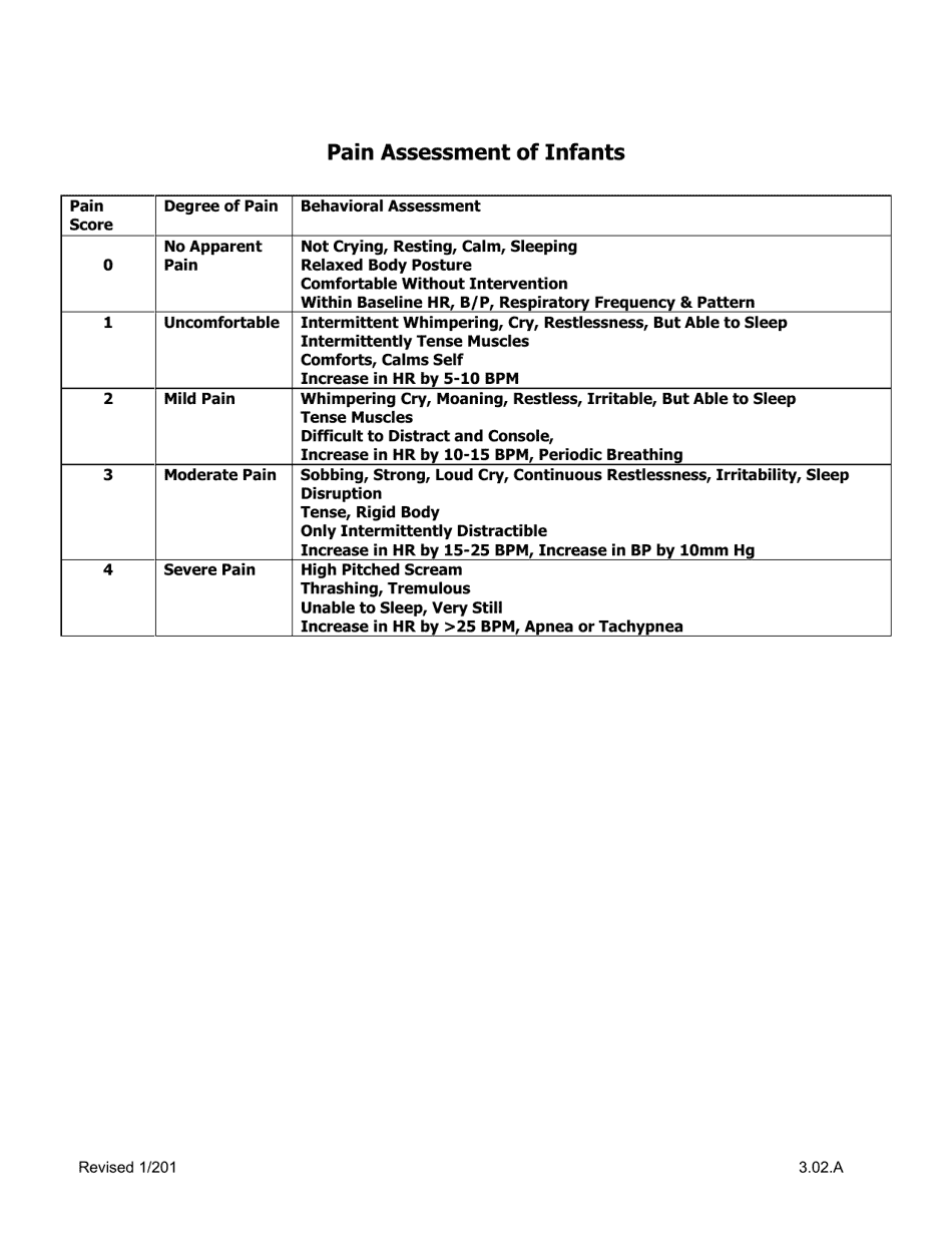 Infant Pain Assessment Tool, Page 2