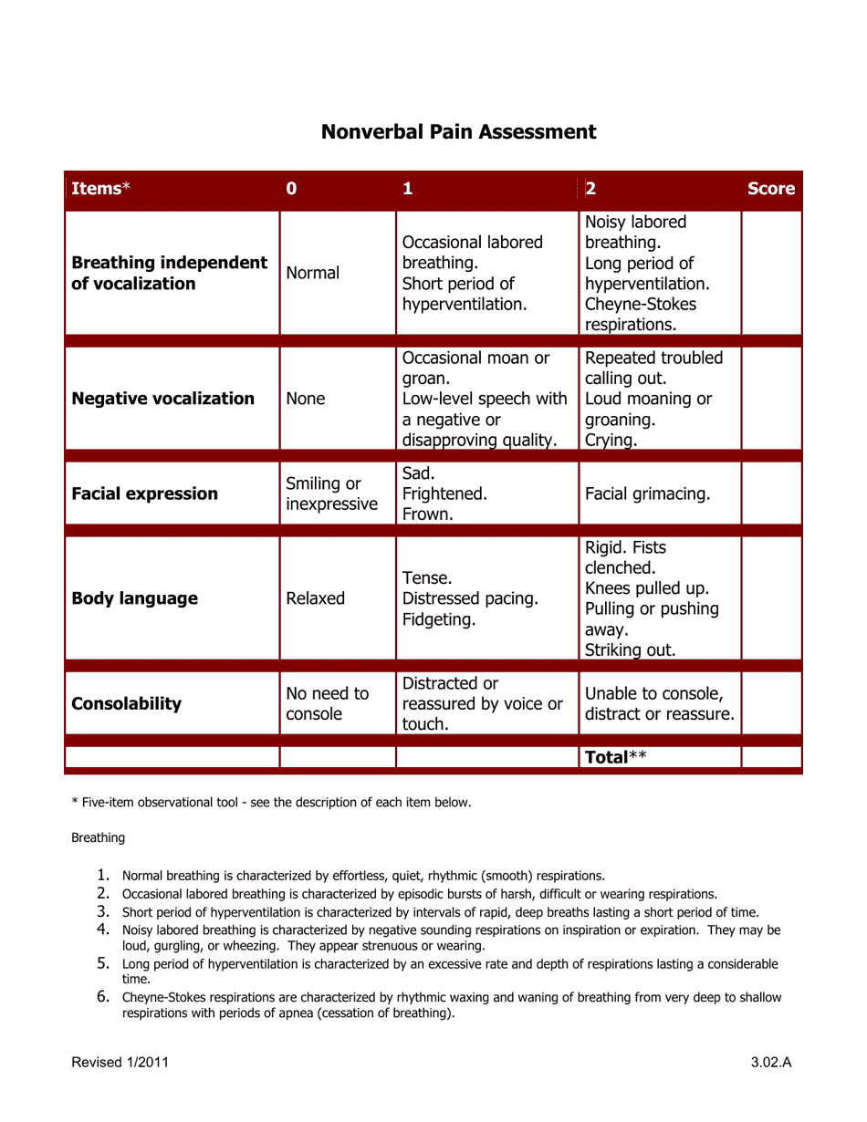 Infant Pain Assessment Tool, Page 3