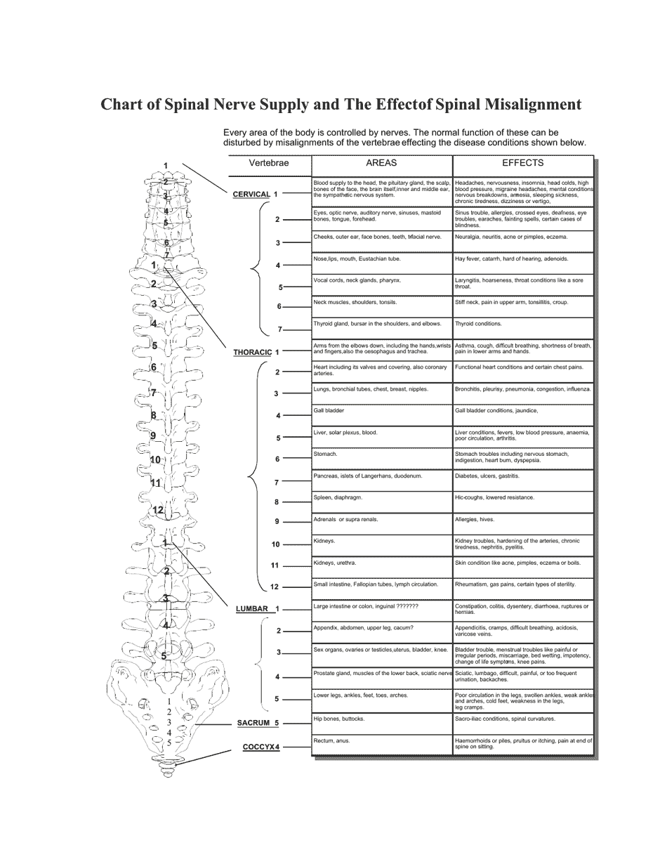 Spinal Nerve Supply and Spinal Misalignment Effect Chart Preview Image