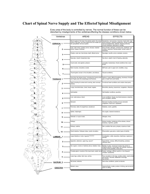 Spinal Nerve Supply and Spinal Misalignment Effect Chart