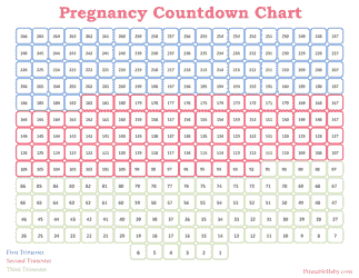 Document preview: Pregnancy Countdown Chart