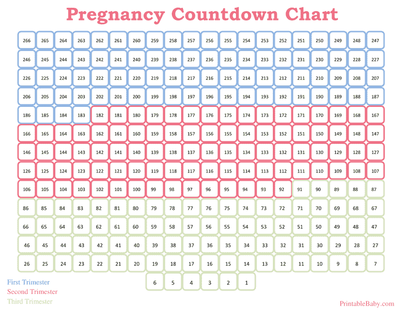 Pregnancy Countdown Chart - Track your journey to motherhood