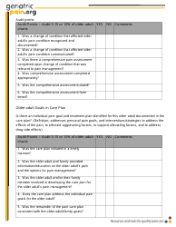 Geriatric Pain Audit Checklist, Page 2