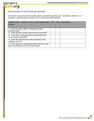 Geriatric Pain Audit Checklist, Page 4