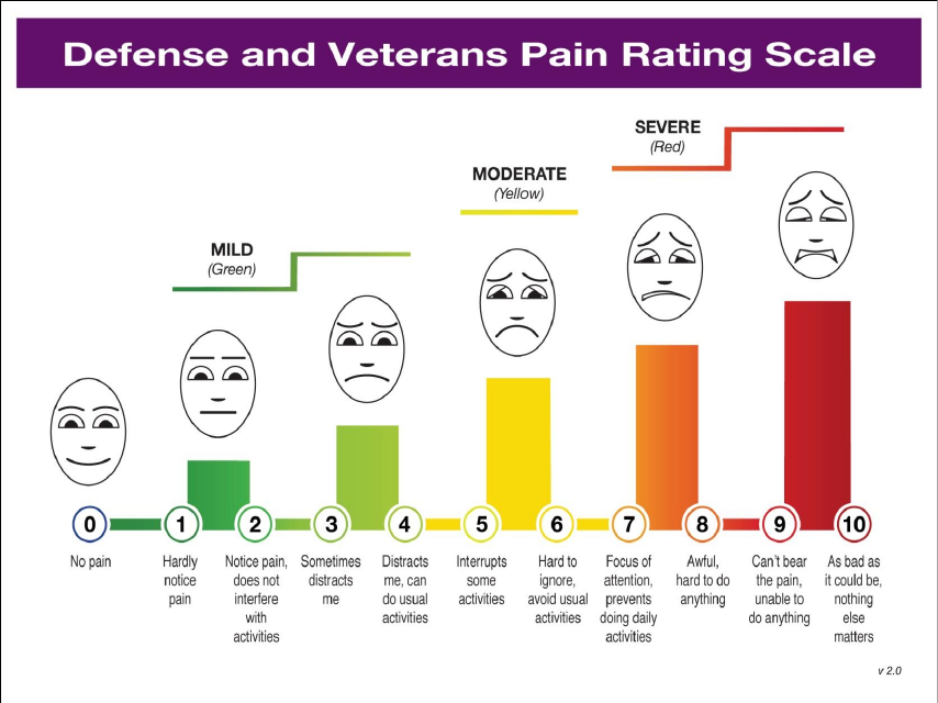DoD/VA Pain Rating Scale document preview