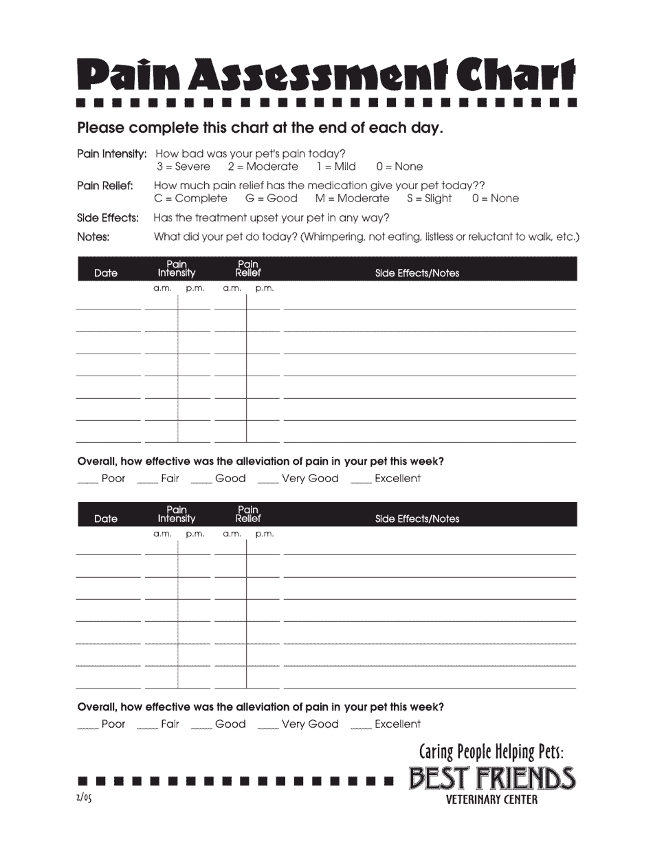 Pet Pain Assessment Chart, Page 3