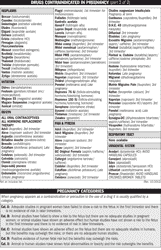 Drugs Contraindicated in Pregnancy Reference Sheet, Page 2