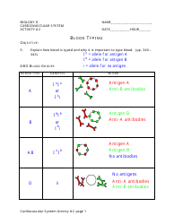 Biology Cardiovascular System Activity Sheet - Blood Typing