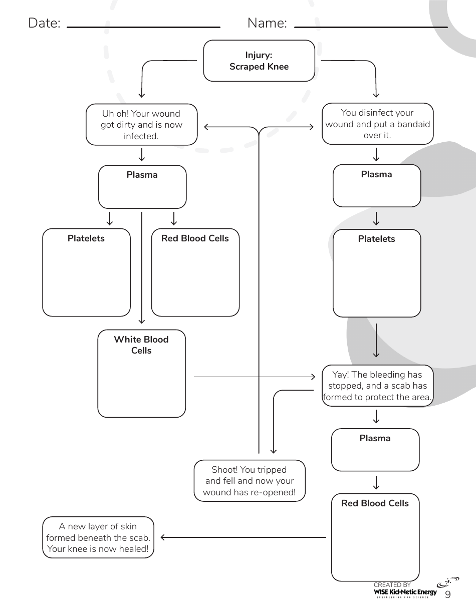 blood-flow-chart-download-printable-pdf-templateroller