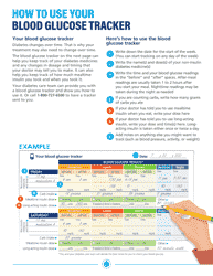 Blood Glucose Tracker - Novo Nordisk, Page 3