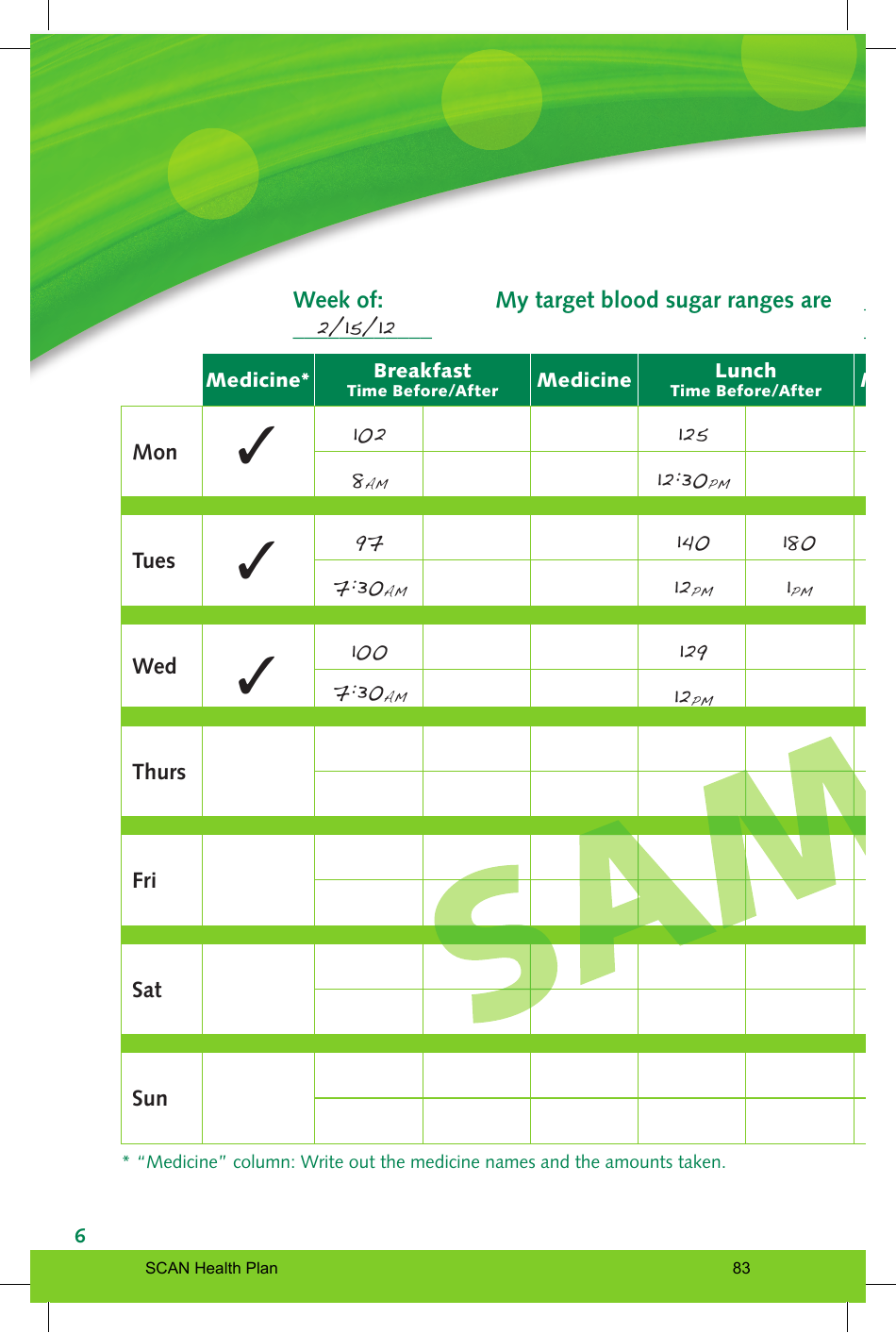 Blood Sugar Diary, Page 6