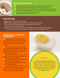Pregnancy Food Guide, Page 5