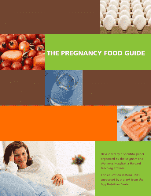 Image preview of the Pregnancy Food Guide document