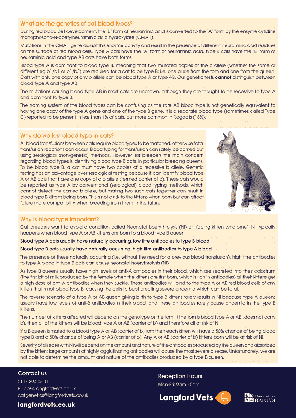 Feline Blood Type Chart Download Printable PDF | Templateroller