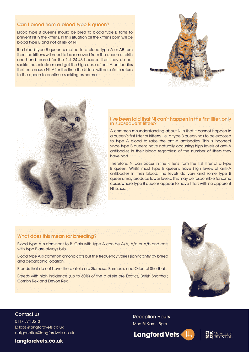 feline-blood-type-chart-download-printable-pdf-templateroller