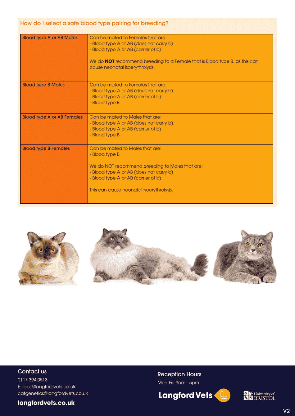 feline-blood-type-chart-download-printable-pdf-templateroller