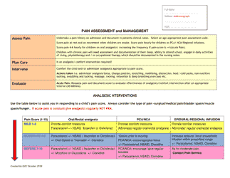 Pain Intensity Assessment Chart, Page 2