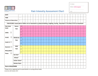 Document preview: Pain Intensity Assessment Chart