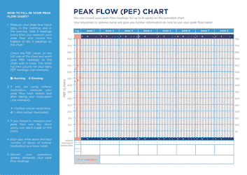 Peak Flow (Pef) Diary Chart, Page 2