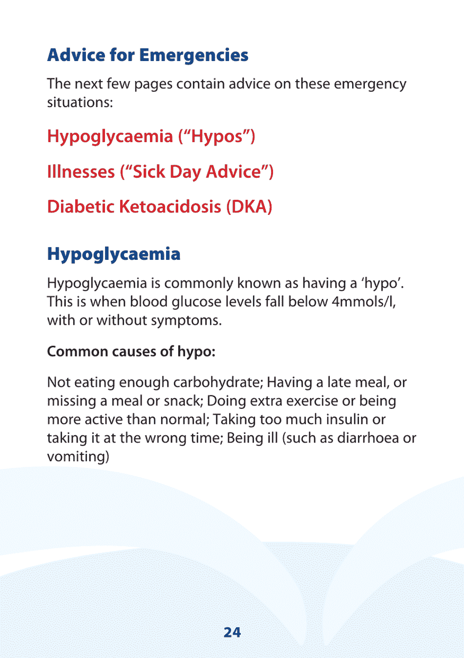 Blood Glucose Diary - United Kingdom, Page 24
