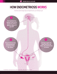 Endometriosis 3-month Tracker &amp; Questionnaire - Abbvie, Page 3