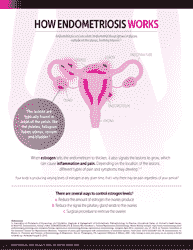 Endometriosis 3-month Tracker &amp; Questionnaire - Abbvie, Page 6