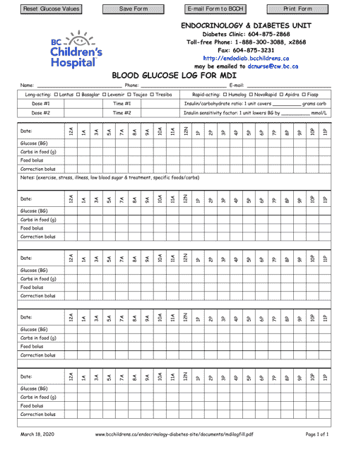 Blood Glucose Log for Mdi - Template Preview