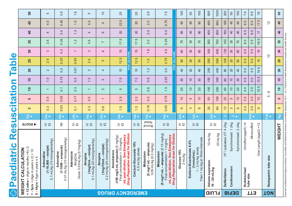 Paediatric Emergency Drug Preparation, Page 5
